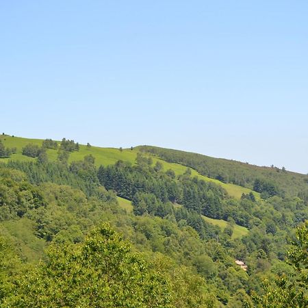 Auberge Les Myrtilles Le Bosc  Buitenkant foto