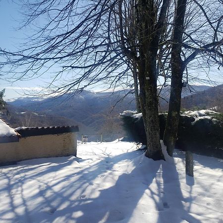 Auberge Les Myrtilles Le Bosc  Buitenkant foto