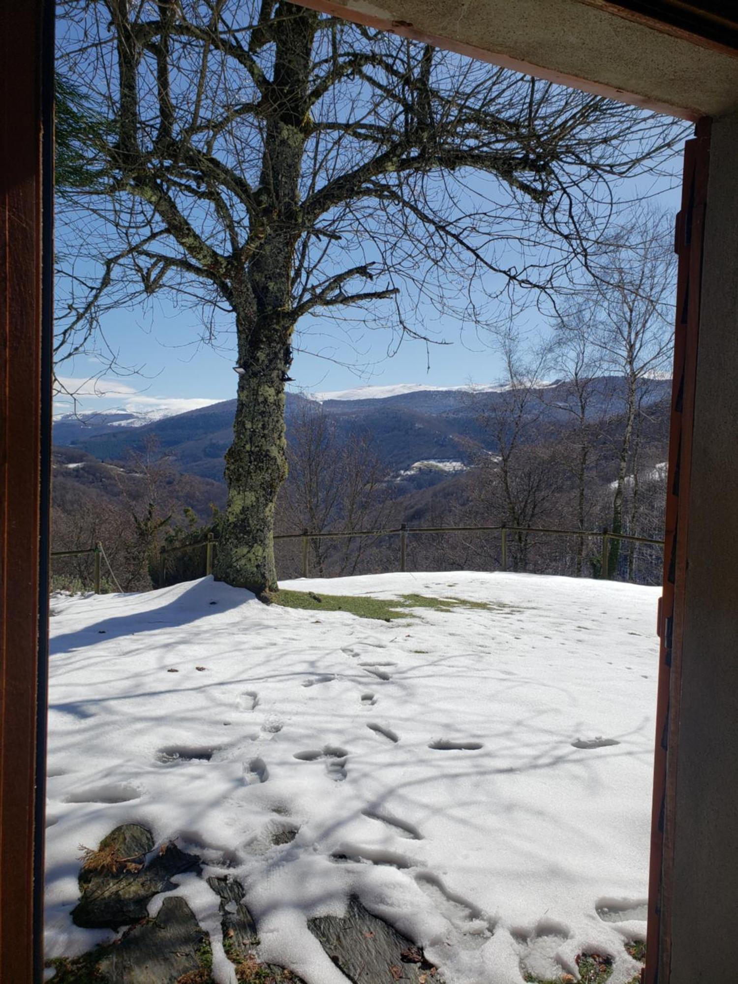 Auberge Les Myrtilles Le Bosc  Buitenkant foto