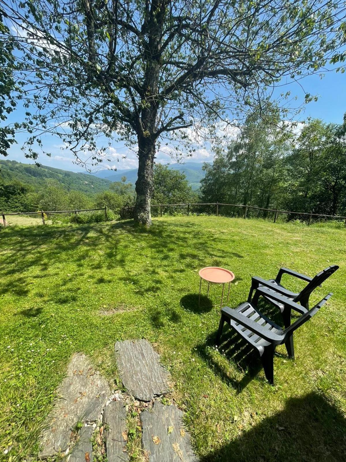 Auberge Les Myrtilles Le Bosc  Buitenkant foto